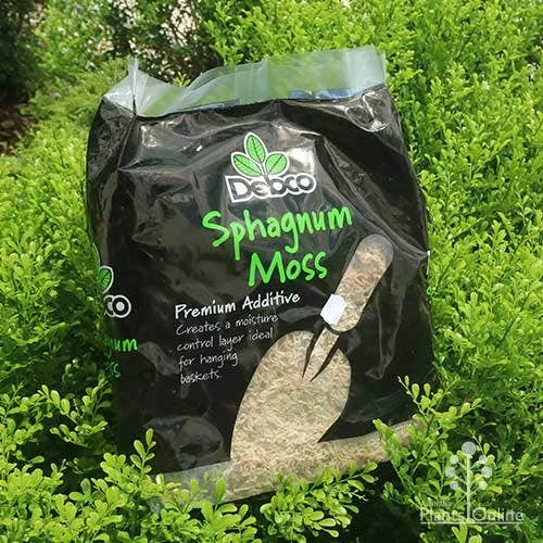 Sphagnum Moss 5L 1 Sphagnum Moss 5L