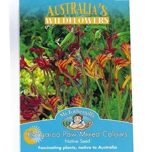 Australian Wildflower Kangaroo Paw - Seed 2 Australian Wildflower Kangaroo Paw - Seed - Image 2