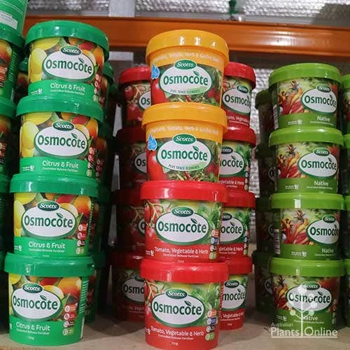 Osmocote 700g Fruit, Citrus, Trees & Shrubs Fertiliser 3 Osmocote 700g Fruit, Citrus, Trees & Shrubs Fertiliser - Image 3