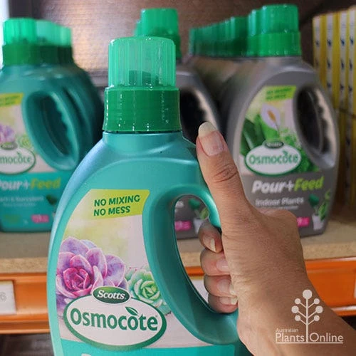 Osmocote 1L Pour + Feed Cacti And Succulent Fertiliser 2 Osmocote 1L Pour + Feed Cacti And Succulent Fertiliser - Image 2