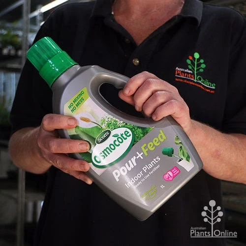 Osmocote 1L Pour + Feed House Plants Fertiliser 2 Osmocote 1L Pour + Feed House Plants Fertiliser - Image 2