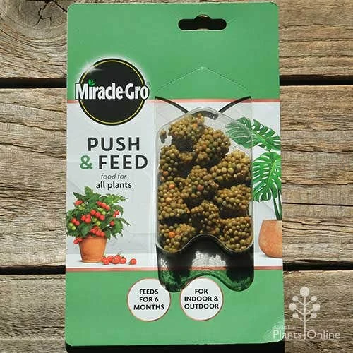 Miracle Gro Push & Feed Plant Food 1 Miracle Gro Push & Feed Plant Food