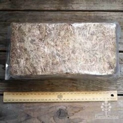 Sphagnum Moss 12L -Plant Seed Store apo sphagnum block