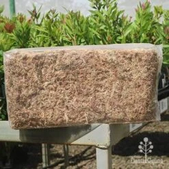 Sphagnum Moss 12L -Plant Seed Store apo sphagnum sun