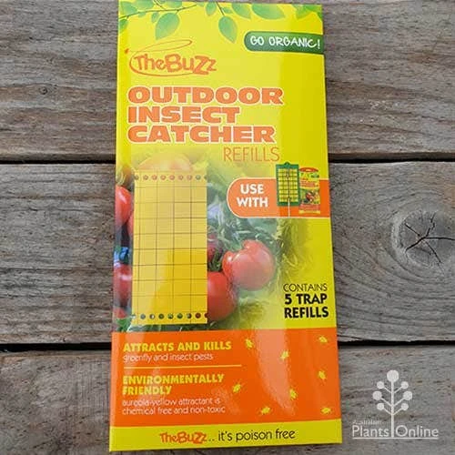 The Buzz Outdoor Insect Catcher Refills - Pack Of 5 1 The Buzz Outdoor Insect Catcher Refills - Pack Of 5