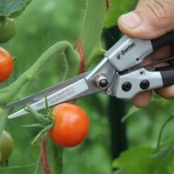 Compact Snips 5 Compact Snips -Plant Seed Store compact snips