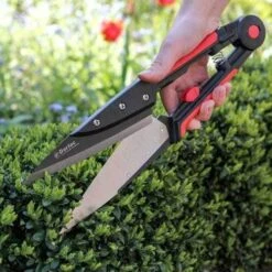 Expert Topiary Shear -Plant Seed Store darlac topiary