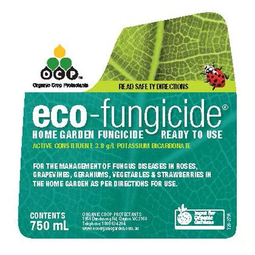 Eco-fungicide Spray 750ml 2 Eco-fungicide Spray 750ml - Image 2