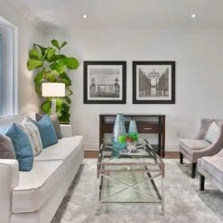 Ficus Lyrata - Fiddle Leaf Fig 17 Ficus Lyrata - Fiddle Leaf Fig -Plant Seed Store fiddle leaf fancy room