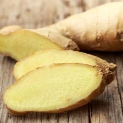 Zingiber - Edible Ginger 12 Zingiber - Edible Ginger -Plant Seed Store ginger root 500 1