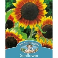 New Products -Plant Seed Store golden prominence