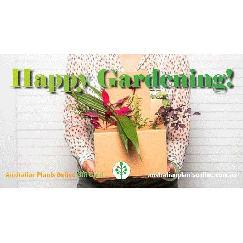 Gift Card 2 Gift Card - Image 2