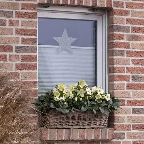 Hellebore Ice Breaker Max - Winter Rose 2 Hellebore Ice Breaker Max - Winter Rose - Image 2