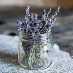 Lavender English Munstead - Seed -Plant Seed Store lavender dried