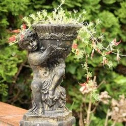 Lotus Red Flash - Parrot's Beak 12 Lotus Red Flash - Parrot's Beak -Plant Seed Store lotus planted