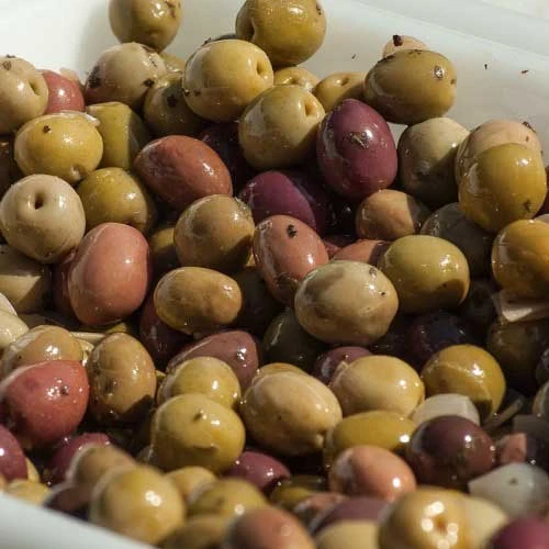 Olive Manzanillo 1 Olive Manzanillo