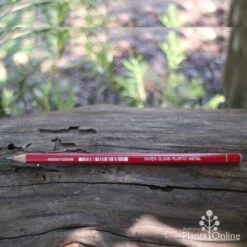 All-surface Pencil