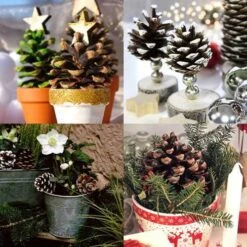 Pine Cones - Pack Of 4 6 Pine Cones - Pack Of 4 -Plant Seed Store pine cone pots