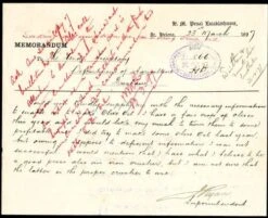 Olive Helena 7 Olive Helena -Plant Seed Store postcard from st helena superintendent 500 2