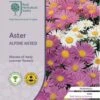 Aster Alpine Mix - Seed