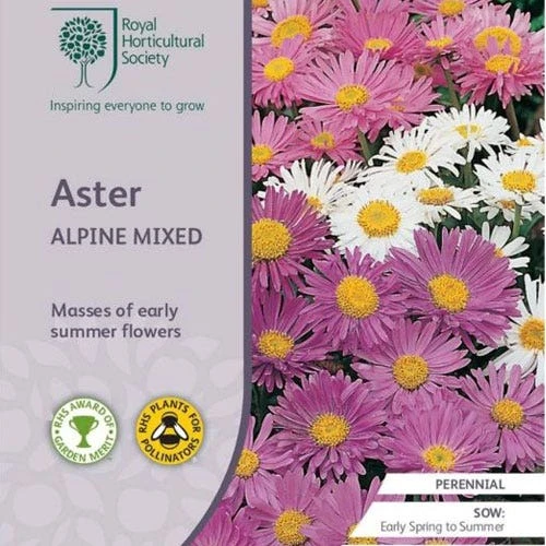 Aster Alpine Mix - Seed 1 Aster Alpine Mix - Seed