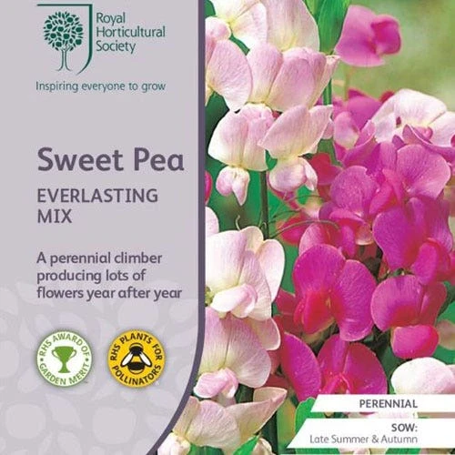 Sweet Pea Everlasting Mix - Seed 1 Sweet Pea Everlasting Mix - Seed