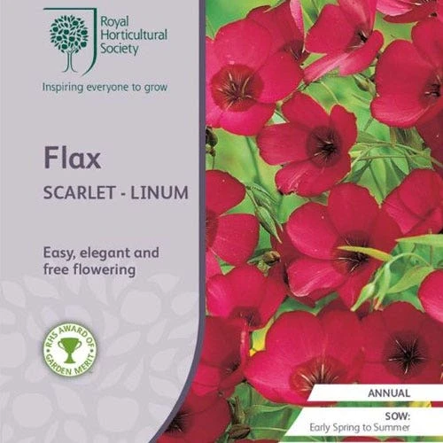 Flax Scarlet - Seed 1 Flax Scarlet - Seed
