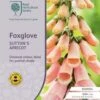 Foxglove Sutton's Apricot - Seed