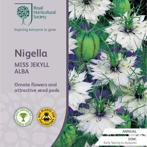 Nigella Miss Jekyll White - Love In A Mist - Seed 1 Nigella Miss Jekyll White - Love In A Mist - Seed