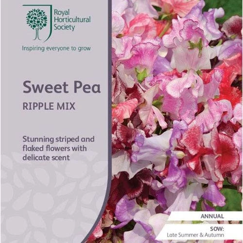 Sweet Pea Ripple Mix - Seed 1 Sweet Pea Ripple Mix - Seed